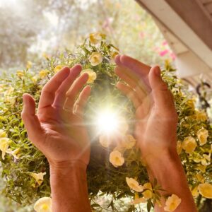 Reiki Reset Session.